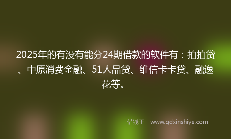 2025年的有没有能分24期借款的软件有：拍拍贷、中原消费金融、51人品贷、维信卡卡贷、融逸花等。