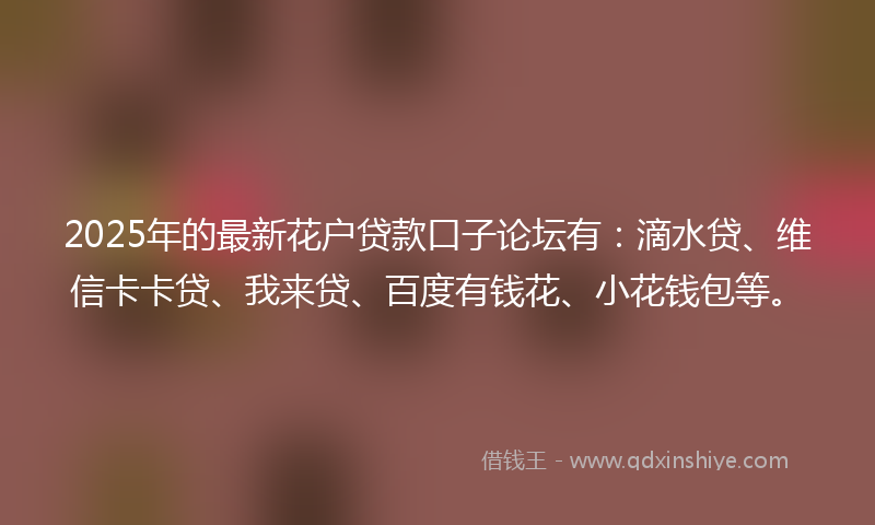 2025年的最新花户贷款口子论坛有：滴水贷、维信卡卡贷、我来贷、百度有钱花、小花钱包等。