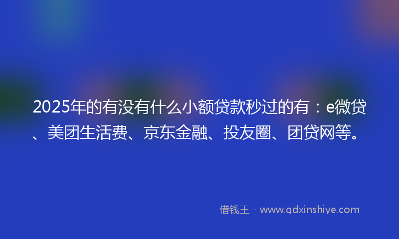 2025年的有没有什么小额贷款秒过的有：e微贷、美团生活费、京东金融、投友圈、团贷网等。