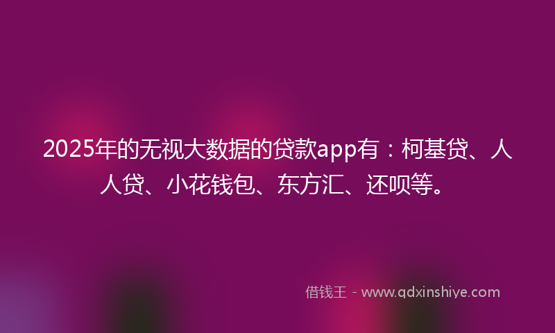 2025年的无视大数据的贷款app有：柯基贷、人人贷、小花钱包、东方汇、还呗等。
