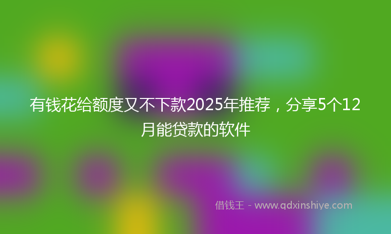 有钱花给额度又不下款2025年推荐，分享5个12月能贷款的软件