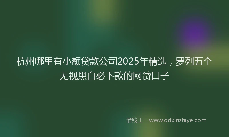 杭州哪里有小额贷款公司2025年精选，罗列五个无视黑白必下款的网贷口子