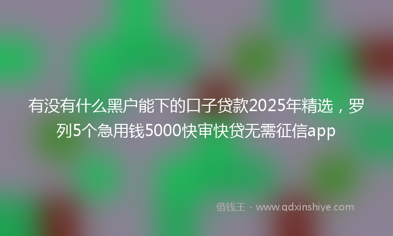 有没有什么黑户能下的口子贷款2025年精选，罗列5个急用钱5000快审快贷无需征信app