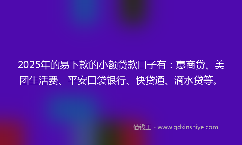 2025年的易下款的小额贷款口子有：惠商贷、美团生活费、平安口袋银行、快贷通、滴水贷等。