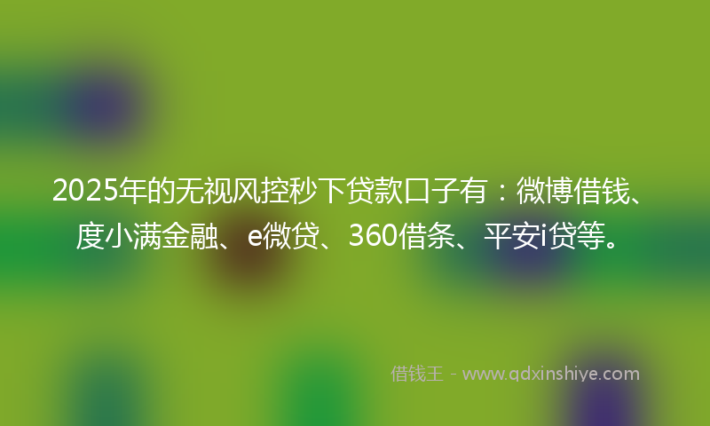 2025年的无视风控秒下贷款口子有：微博借钱、度小满金融、e微贷、360借条、平安i贷等。