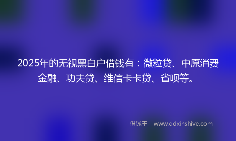 2025年的无视黑白户借钱有：微粒贷、中原消费金融、功夫贷、维信卡卡贷、省呗等。