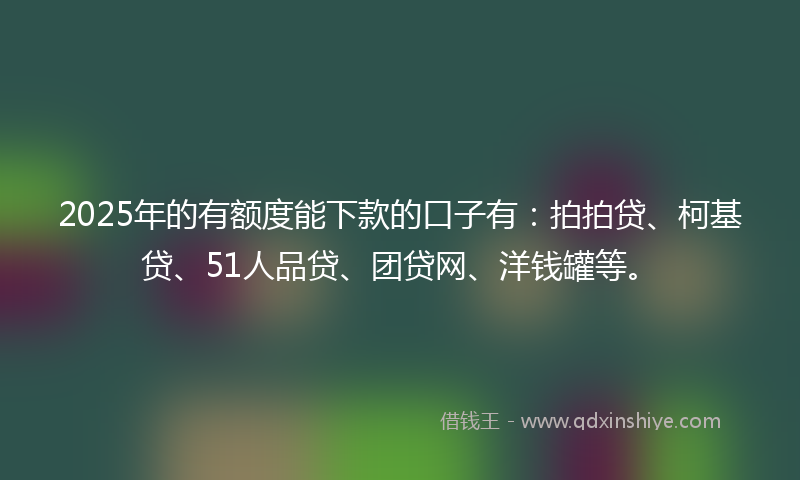 2025年的有额度能下款的口子有：拍拍贷、柯基贷、51人品贷、团贷网、洋钱罐等。