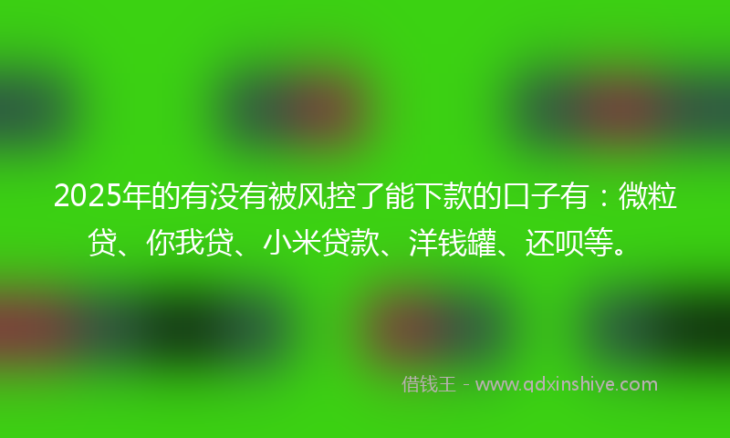 2025年的有没有被风控了能下款的口子有：微粒贷、你我贷、小米贷款、洋钱罐、还呗等。
