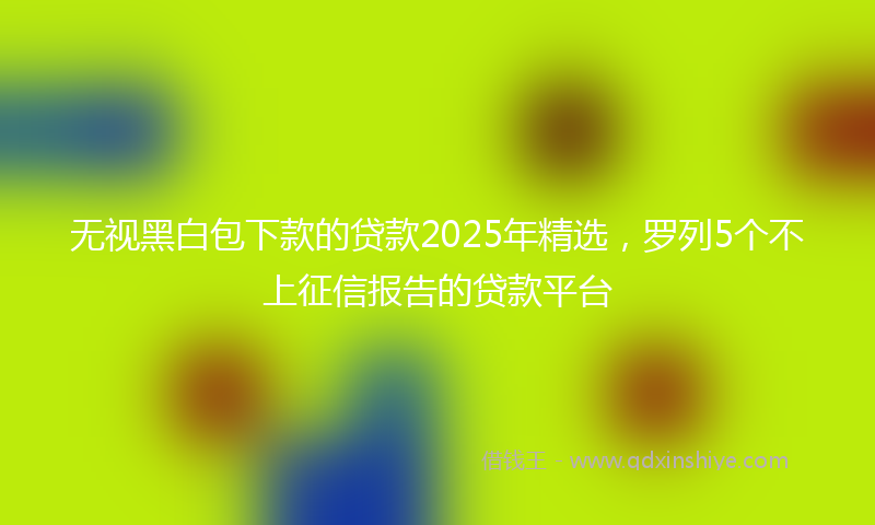 无视黑白包下款的贷款2025年精选，罗列5个不上征信报告的贷款平台