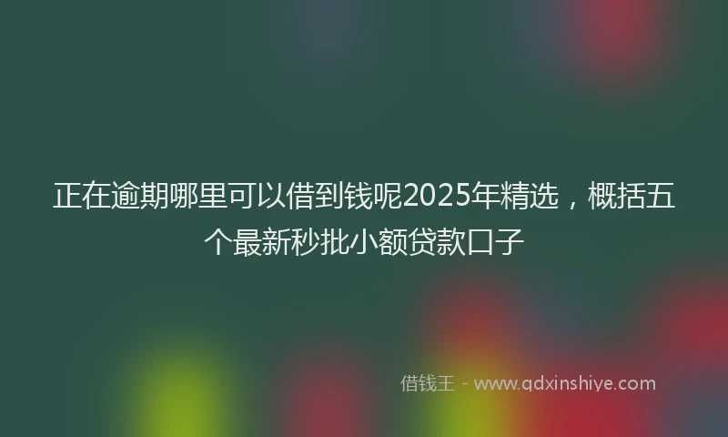 正在逾期哪里可以借到钱呢2025年精选，概括五个最新秒批小额贷款口子