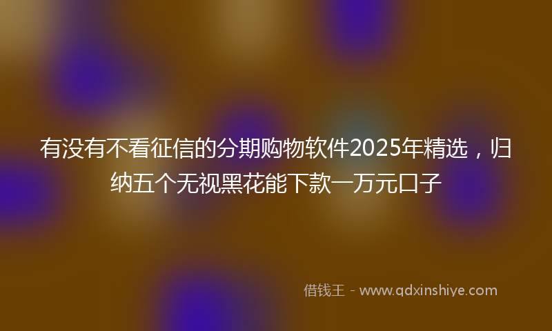 有没有不看征信的分期购物软件2025年精选，归纳五个无视黑花能下款一万元口子