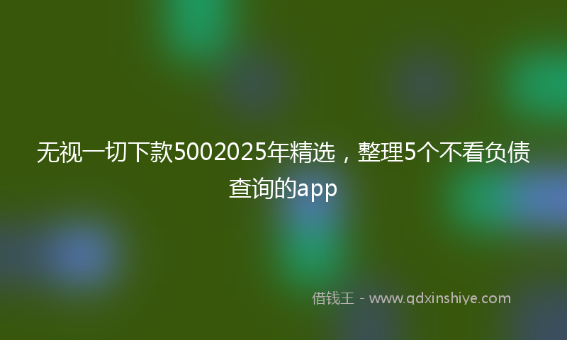 无视一切下款5002025年精选，整理5个不看负债查询的app
