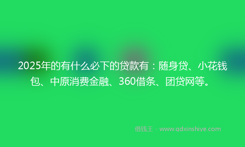 2025年的有什么必下的贷款有：随身贷、小花钱包、中原消费金融、360借条、团贷网等。