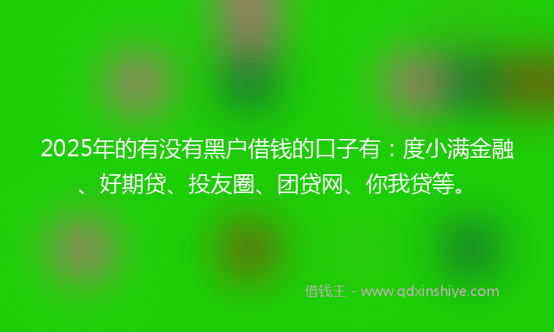 2025年的有没有黑户借钱的口子有：度小满金融、好期贷、投友圈、团贷网、你我贷等。