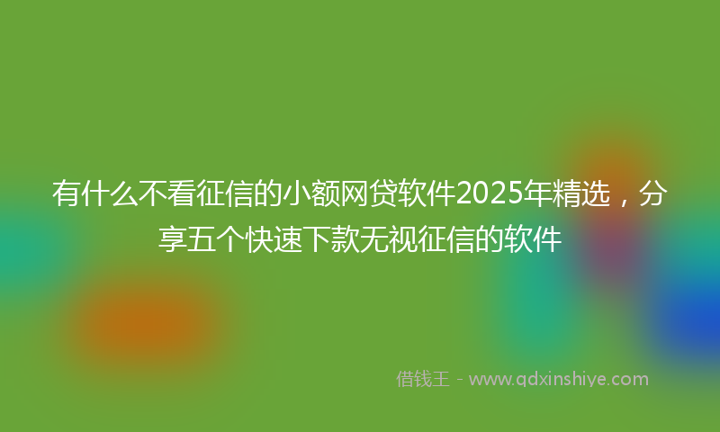 有什么不看征信的小额网贷软件2025年精选，分享五个快速下款无视征信的软件