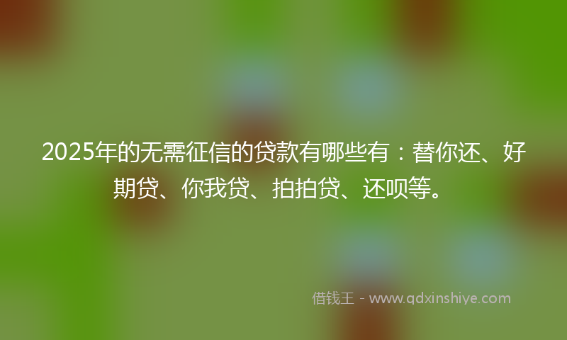 2025年的无需征信的贷款有哪些有：替你还、好期贷、你我贷、拍拍贷、还呗等。