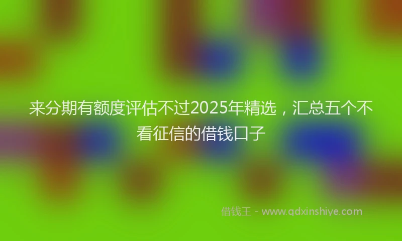 来分期有额度评估不过2025年精选，汇总五个不看征信的借钱口子