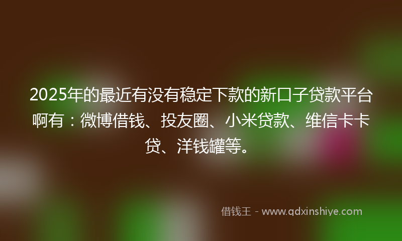 2025年的最近有没有稳定下款的新口子贷款平台啊有：微博借钱、投友圈、小米贷款、维信卡卡贷、洋钱罐等。