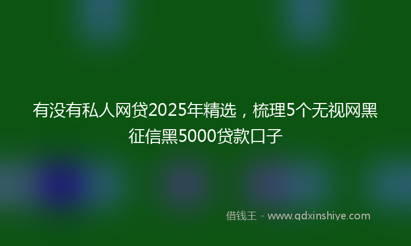 有没有私人网贷2025年精选，梳理5个无视网黑征信黑5000贷款口子