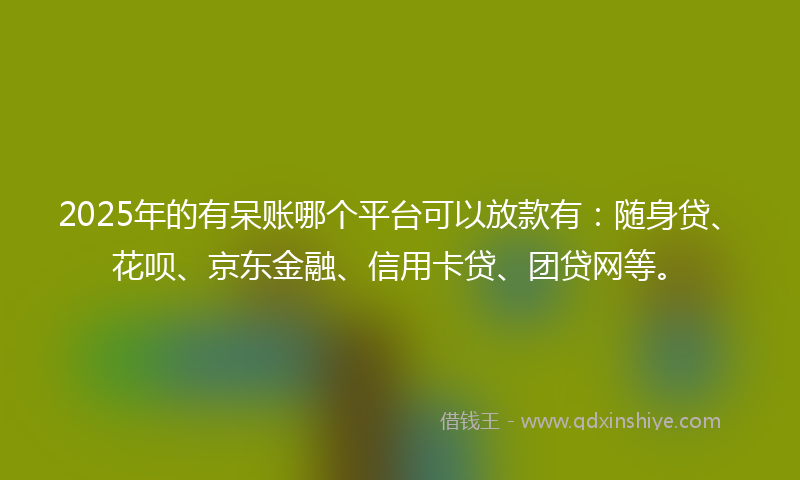 2025年的有呆账哪个平台可以放款有：随身贷、花呗、京东金融、信用卡贷、团贷网等。
