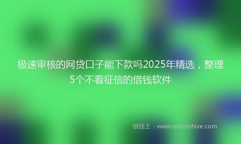 极速审核的网贷口子能下款吗2025年精选，整理5个不看征信的借钱软件