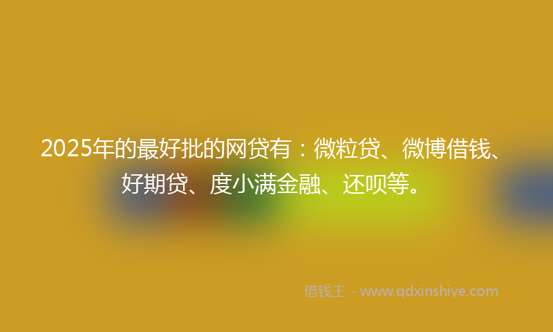 2025年的最好批的网贷有：微粒贷、微博借钱、好期贷、度小满金融、还呗等。