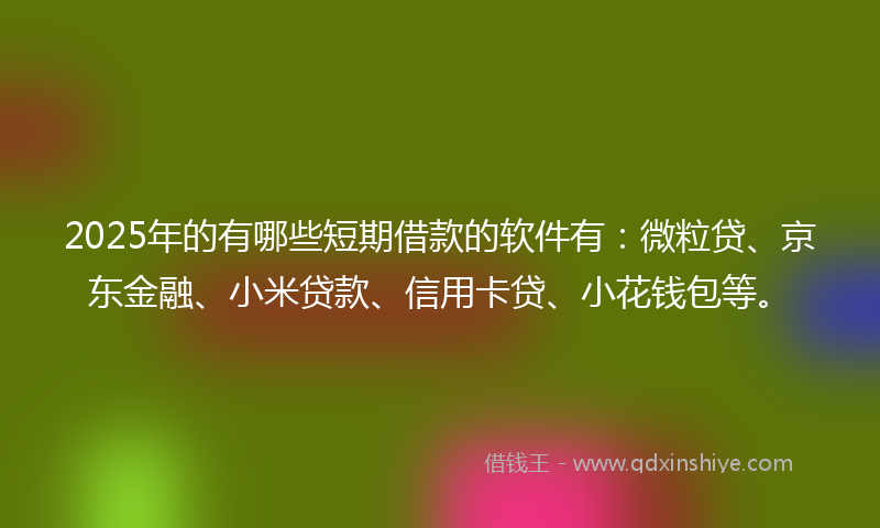 2025年的有哪些短期借款的软件有：微粒贷、京东金融、小米贷款、信用卡贷、小花钱包等。