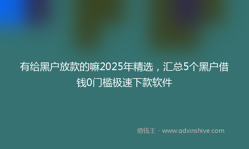 有给黑户放款的嘛2025年精选，汇总5个黑户借钱0门槛极速下款软件