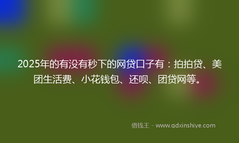 2025年的有没有秒下的网贷口子有：拍拍贷、美团生活费、小花钱包、还呗、团贷网等。