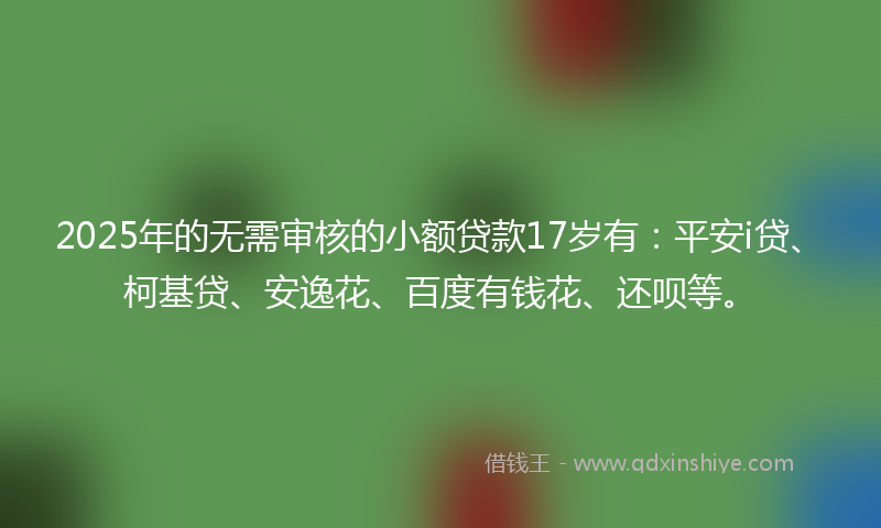 2025年的无需审核的小额贷款17岁有：平安i贷、柯基贷、安逸花、百度有钱花、还呗等。