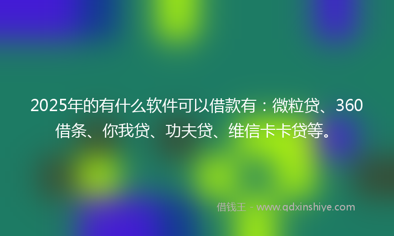 2025年的有什么软件可以借款有：微粒贷、360借条、你我贷、功夫贷、维信卡卡贷等。