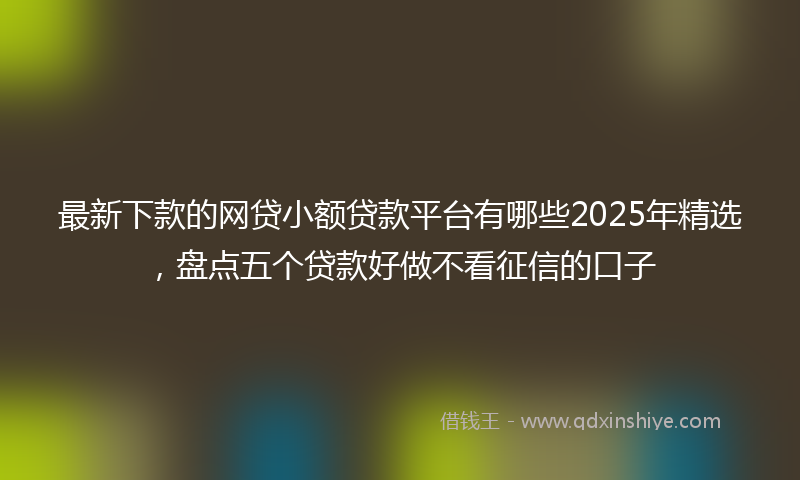 最新下款的网贷小额贷款平台有哪些2025年精选，盘点五个贷款好做不看征信的口子