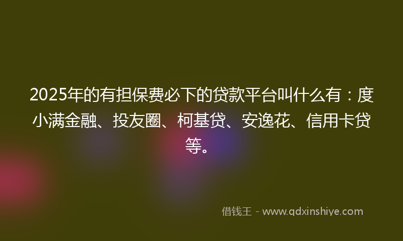 2025年的有担保费必下的贷款平台叫什么有：度小满金融、投友圈、柯基贷、安逸花、信用卡贷等。