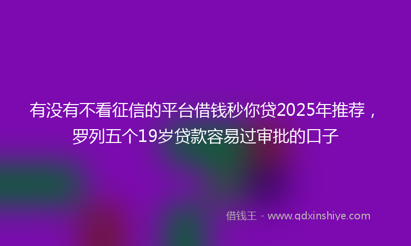 有没有不看征信的平台借钱秒你贷2025年推荐，罗列五个19岁贷款容易过审批的口子