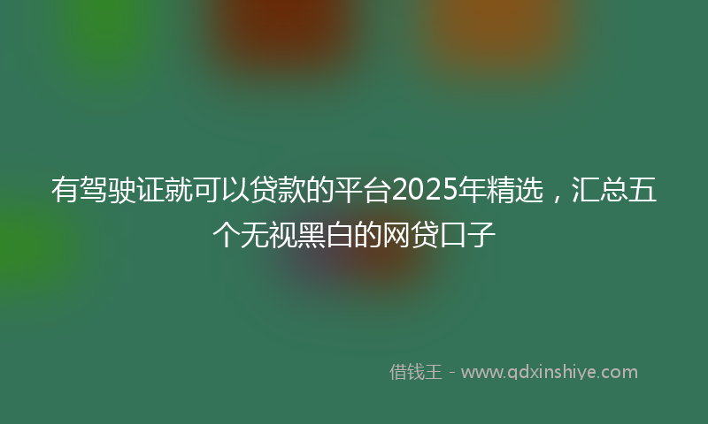 有驾驶证就可以贷款的平台2025年精选，汇总五个无视黑白的网贷口子