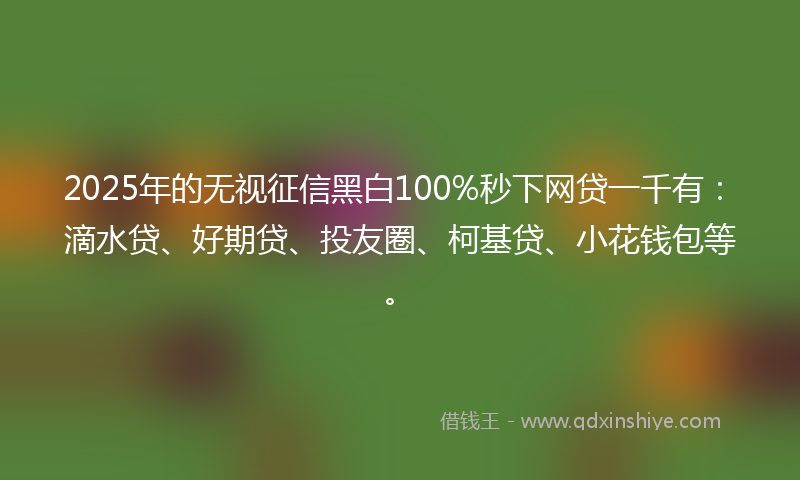 2025年的无视征信黑白100%秒下网贷一千有：滴水贷、好期贷、投友圈、柯基贷、小花钱包等。