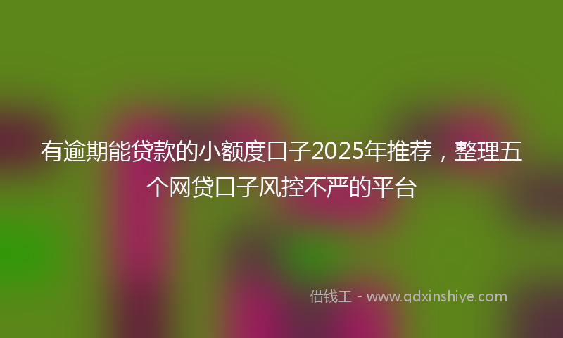 有逾期能贷款的小额度口子2025年推荐，整理五个网贷口子风控不严的平台