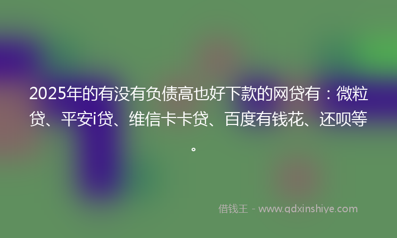 2025年的有没有负债高也好下款的网贷有：微粒贷、平安i贷、维信卡卡贷、百度有钱花、还呗等。