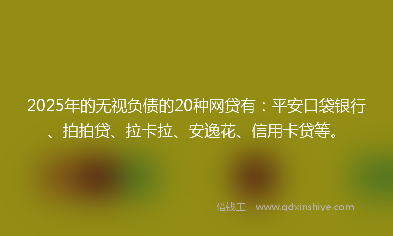 2025年的无视负债的20种网贷有：平安口袋银行、拍拍贷、拉卡拉、安逸花、信用卡贷等。
