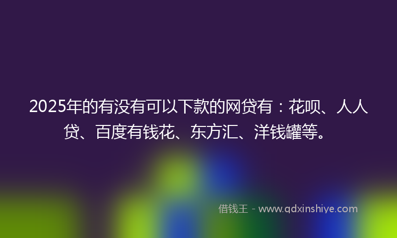 2025年的有没有可以下款的网贷有：花呗、人人贷、百度有钱花、东方汇、洋钱罐等。