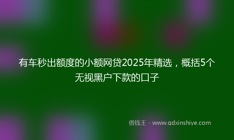 有车秒出额度的小额网贷2025年精选，概括5个无视黑户下款的口子