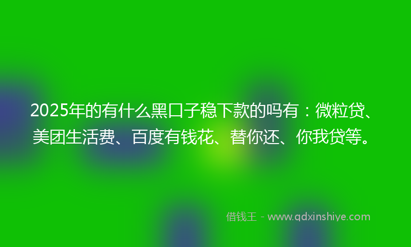 2025年的有什么黑口子稳下款的吗有：微粒贷、美团生活费、百度有钱花、替你还、你我贷等。