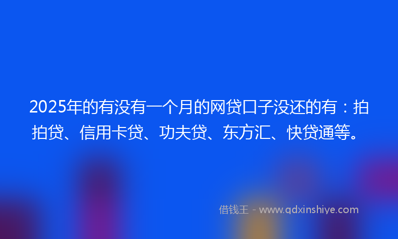 2025年的有没有一个月的网贷口子没还的有：拍拍贷、信用卡贷、功夫贷、东方汇、快贷通等。