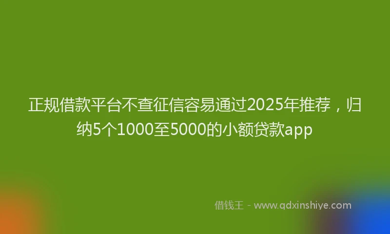 正规借款平台不查征信容易通过2025年推荐，归纳5个1000至5000的小额贷款app