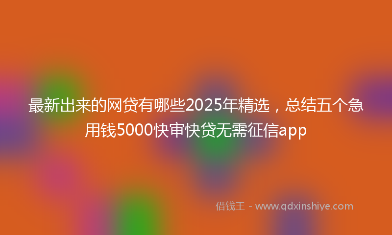 最新出来的网贷有哪些2025年精选，总结五个急用钱5000快审快贷无需征信app