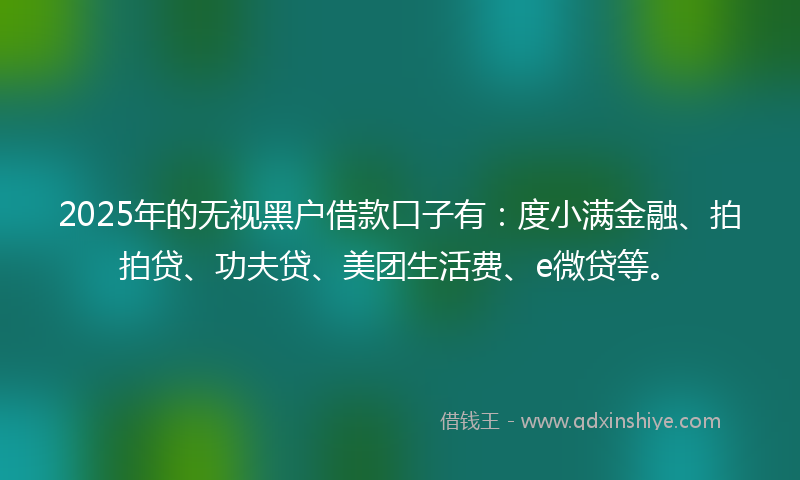 2025年的无视黑户借款口子有：度小满金融、拍拍贷、功夫贷、美团生活费、e微贷等。
