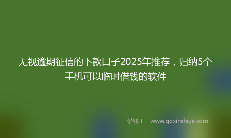 无视逾期征信的下款口子2025年推荐，归纳5个手机可以临时借钱的软件