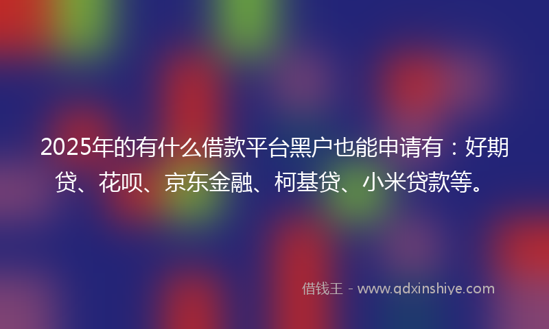 2025年的有什么借款平台黑户也能申请有：好期贷、花呗、京东金融、柯基贷、小米贷款等。