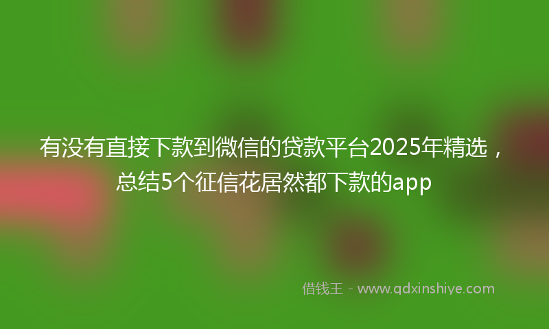有没有直接下款到微信的贷款平台2025年精选，总结5个征信花居然都下款的app