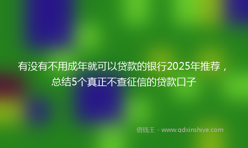 有没有不用成年就可以贷款的银行2025年推荐，总结5个真正不查征信的贷款口子